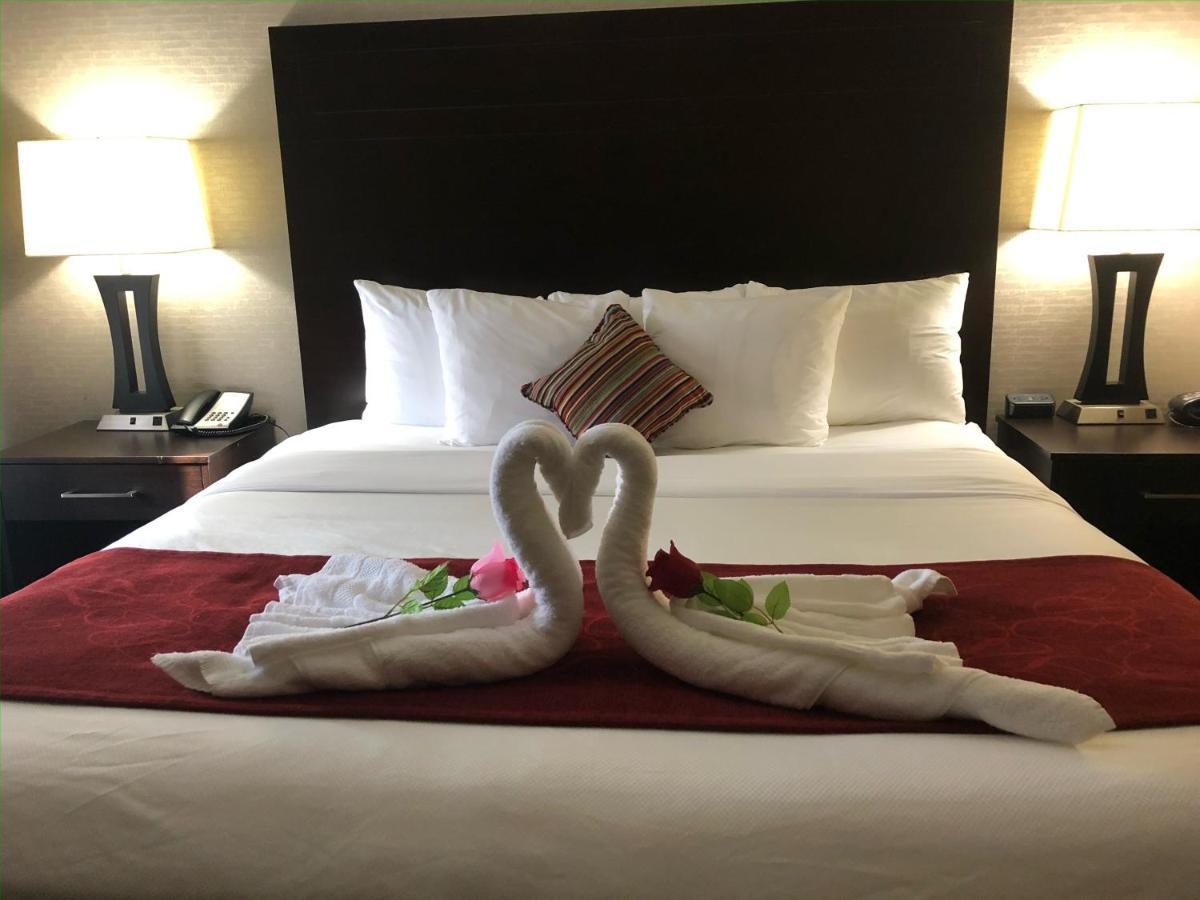 Comfort Suites Houston West At Clay Road Bagian luar foto